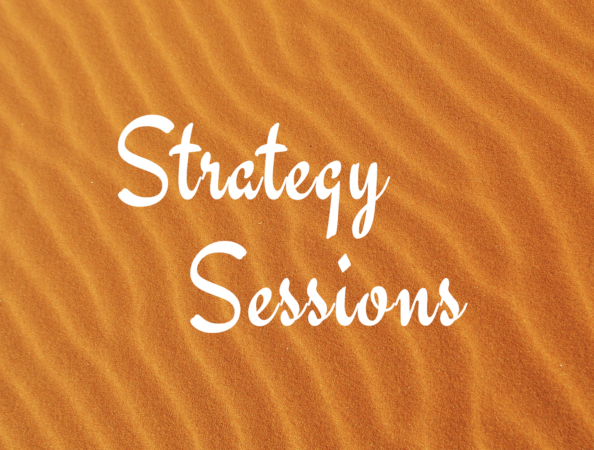 Strategy Sessions: Innovative strategies for increasing online student engagement