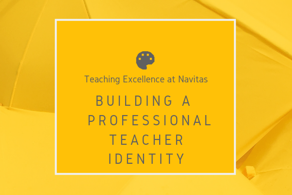 Building a professional teacher identity 1