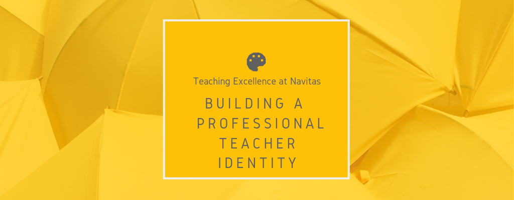 Building a professional teacher identity