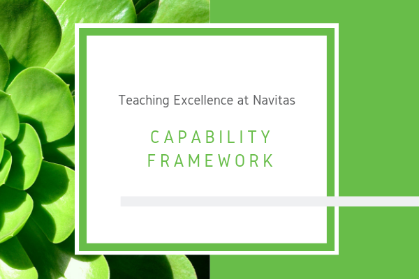 Capability Framework 1