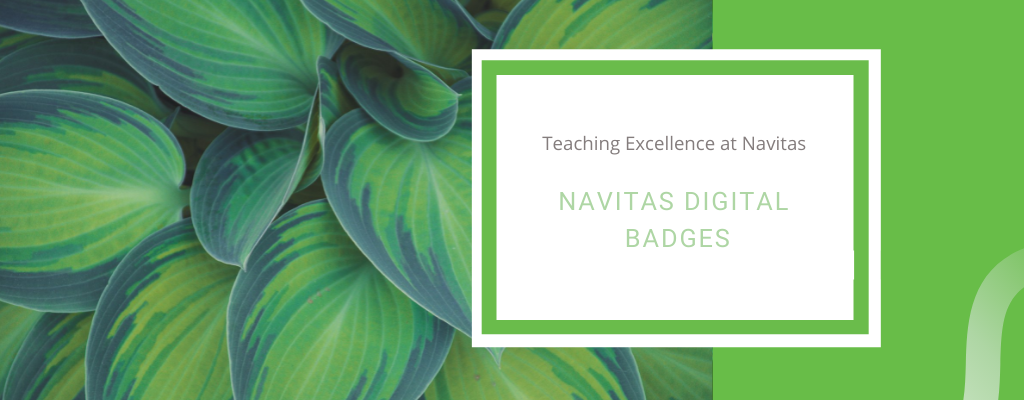 Accrediting teaching excellence: Digital Badges