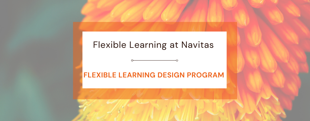 Flexible Learning Design Program