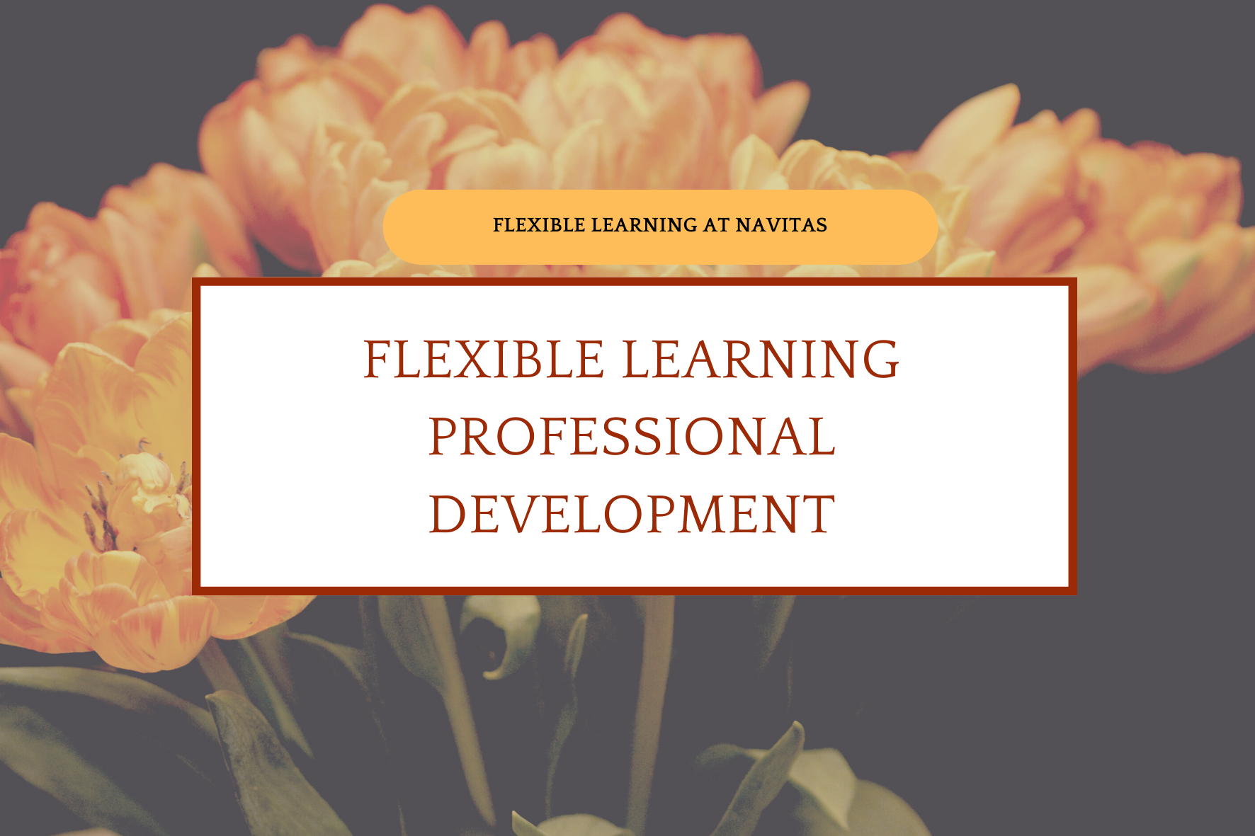 Flexible Learning professional development opportunities