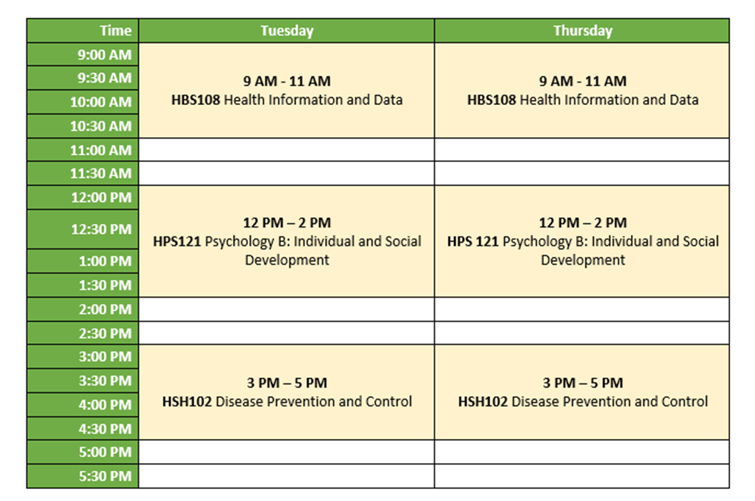 Diploma of Health Science Streamlined Timetable example<br> Image: Supplied