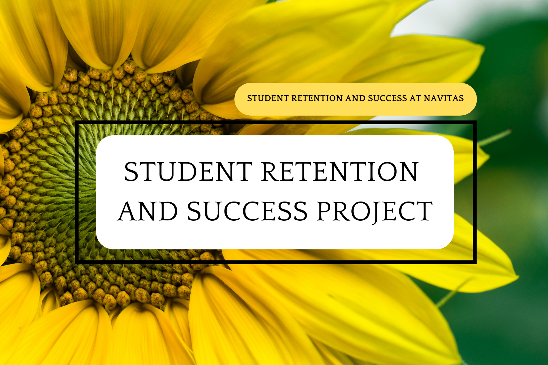 Student Retention and Success at Navitas